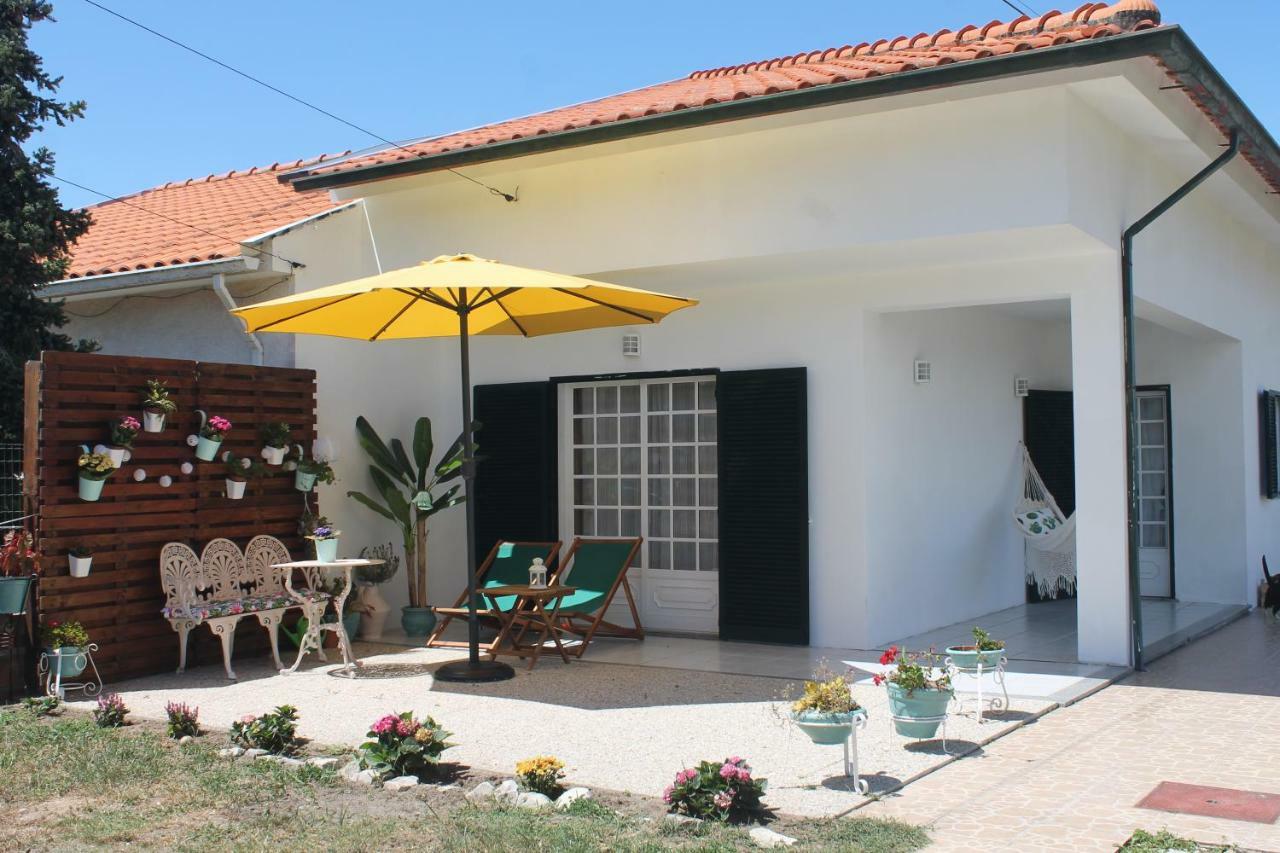 Casa Das Camelias Aveiro Exterior photo